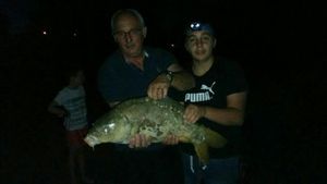 Common Carp