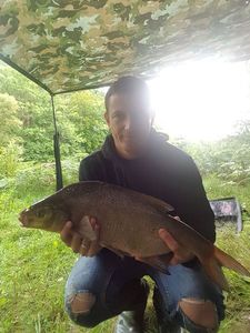 Common Bream