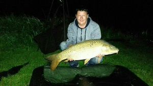 Common Carp
