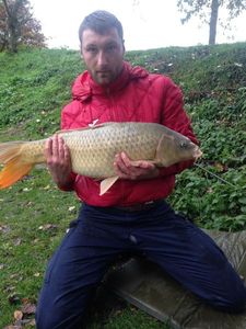 Common Carp