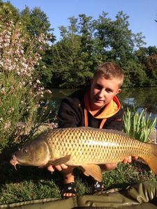 Common Carp