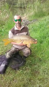 Common Carp