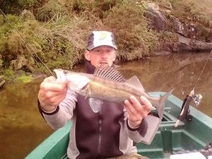Zander