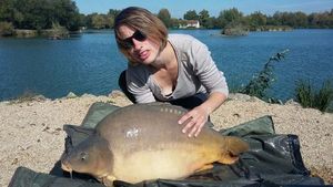 Mirror Carp