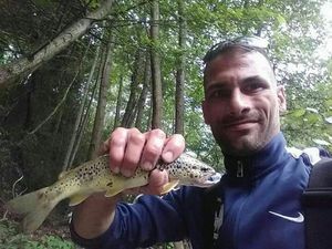 Brown Trout
