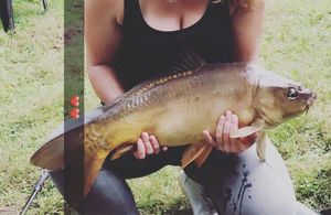 Mirror Carp