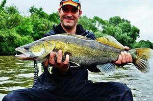 Zander