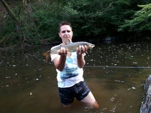 Barbel