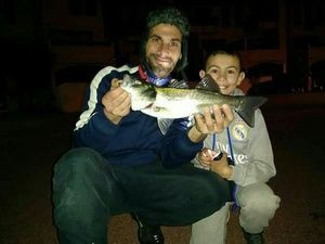 European Bass (Seabass)