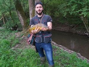 Mirror Carp