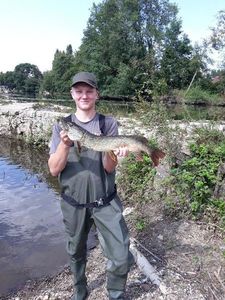 Northern Pike