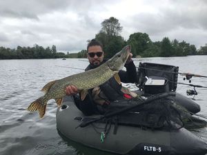 Northern Pike