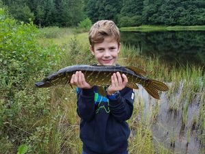 Northern Pike
