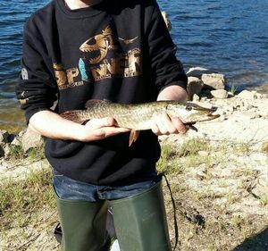Northern Pike