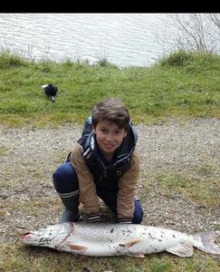 Northern Pike