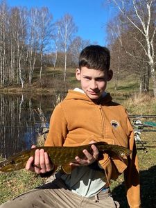 Northern Pike