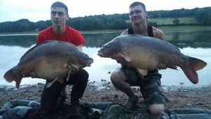 Mirror Carp
