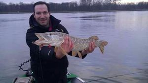 Northern Pike