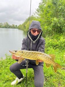 Northern Pike
