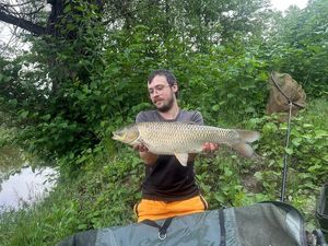 Grass Carp