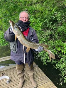Northern Pike