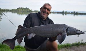 Siberian Sturgeon