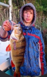 European Perch