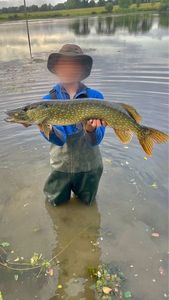 Northern Pike