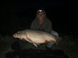 Mirror Carp