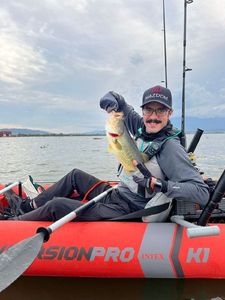 Largemouth Bass