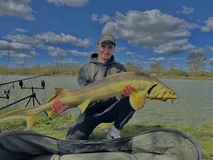 Sturgeon