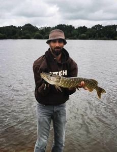 Northern Pike