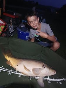 Mirror Carp