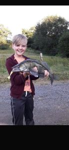 Zander