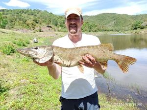 Northern Pike