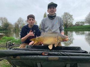 Mirror Carp