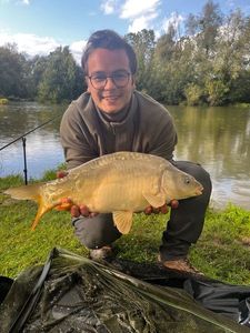 Mirror Carp