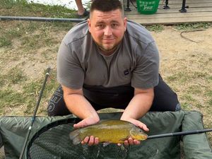 Tench