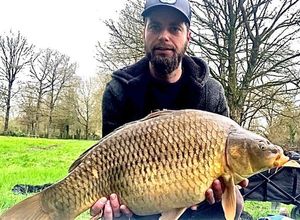Common Carp