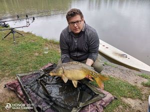 Mirror Carp