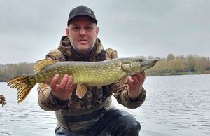 Northern Pike