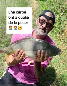 Mirror Carp