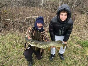 Northern Pike