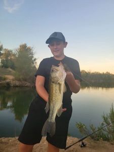 Smallmouth Bass
