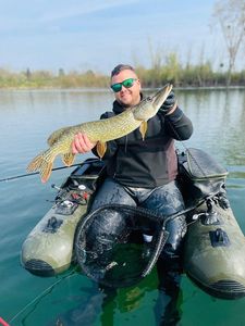 Northern Pike