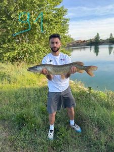 Northern Pike