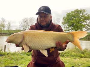 Koï Fish