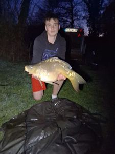 Mirror Carp