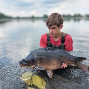 Mirror Carp