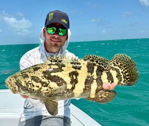 Goliath Grouper
